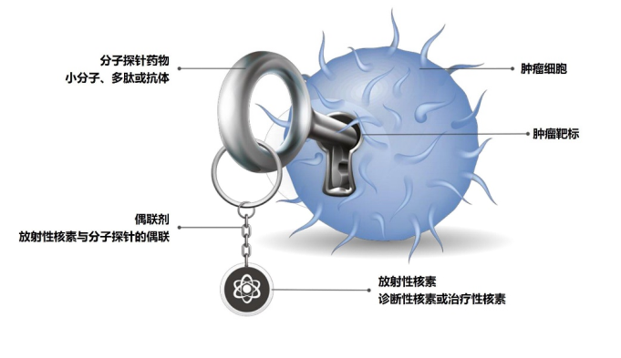 远大医药核药伙伴Telix全球创新RDC产品TLX101海外I期研究完成全部患者入组
